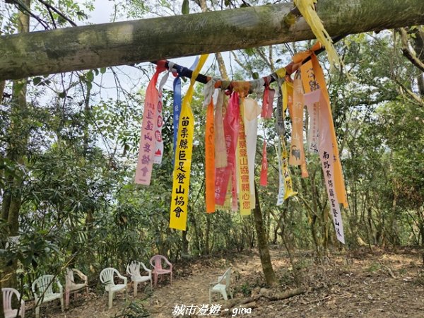 【屏東瑪家】小百岳笠頂山步道3013108