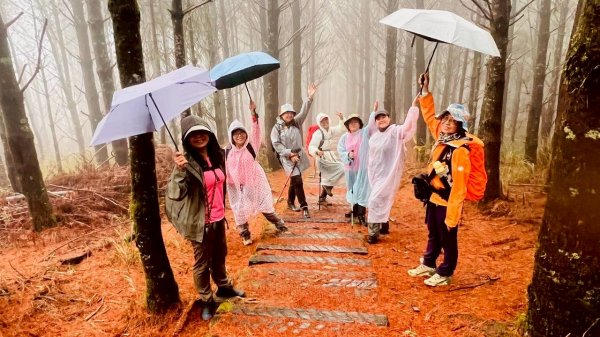 🌈4/6（一）關山越嶺古道-中之關古道✨FB：熊熊趴爬走~歡迎加入🌈3031194
