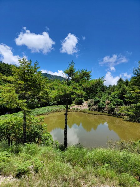 2026-0705-大雪山神木啞口健行3082590