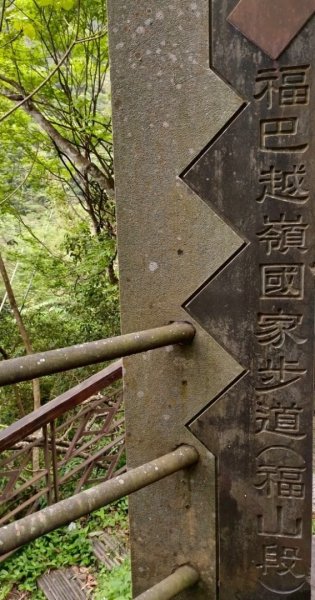 山車廣山.福巴越嶺O-神木群-水晶蘭-根結蘭2756264