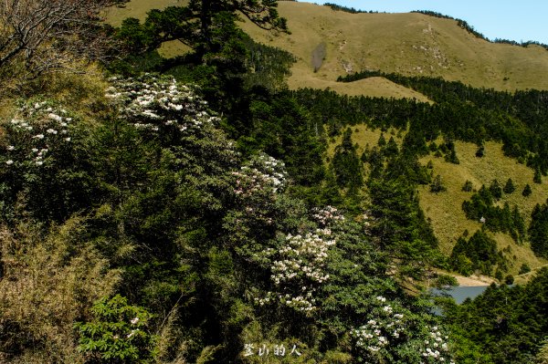 花季限定的景色3063153