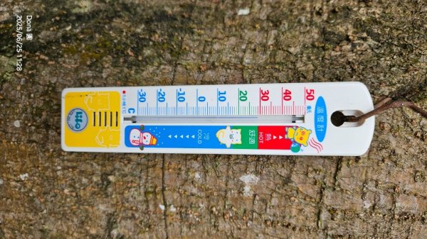 大溪大九芎步道上小百岳溪洲山(H577m)2844318