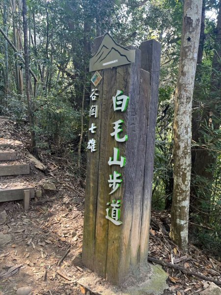 2025/3/22白毛山2823670