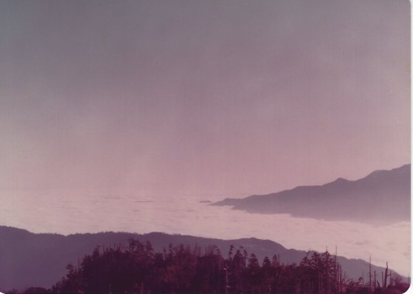 雪山主東峰賞雪行(民國71年)711208