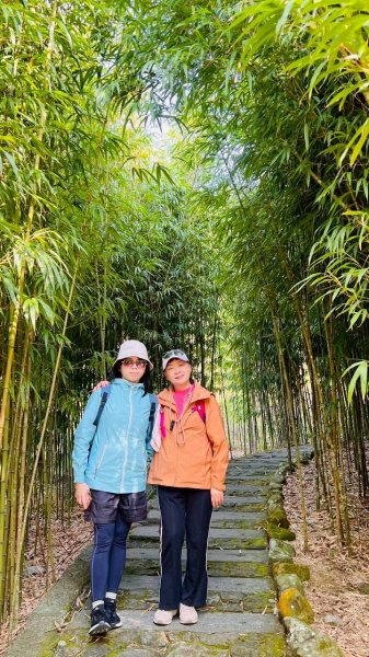 🌈3/21（六）頂湖上大凍山下奮起湖老街✨FB：熊熊趴爬走🌈3020176