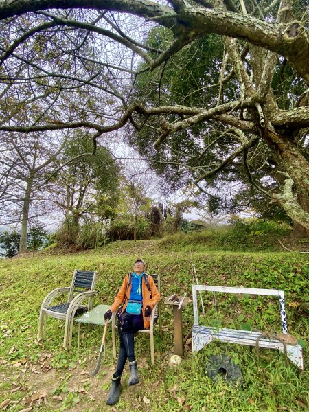 東勢基石巡禮(麻竹坑山.石角山.酒保坪山.大南坑山.主峰)  2022/12/301976276