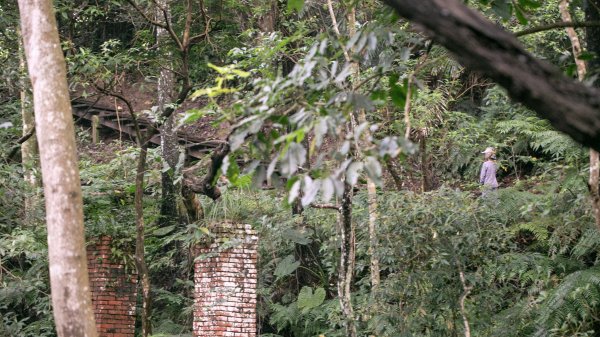 北港二坑-翠湖-內溝山-油桐嶺-老鷲尖山-老鷲尖南峰-學頭坡山 O型2232069