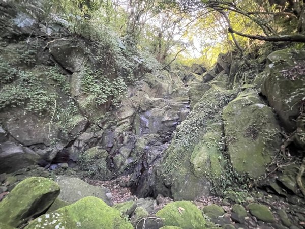 楓樹湖古道3012057