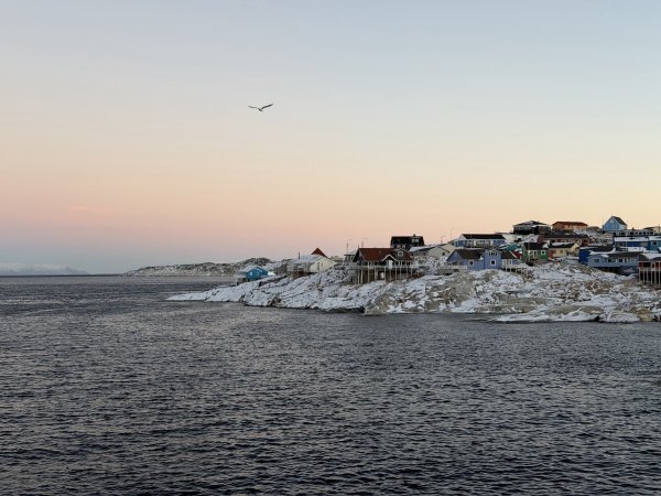 [紐約馬之行-39] 2025_1107 黃線步道登山口2950387