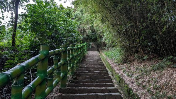 飛鳳山步道3118552