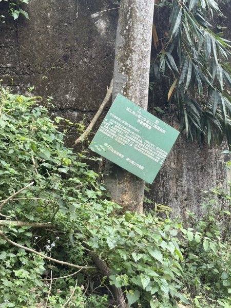 20251101烏山縱走北段 雲山寺至刣牛湖山(途經風空子山.孟璋山.烏山.刣牛湖山北峰)2928744