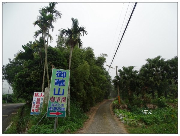 古坑/雲嘉大尖山720564