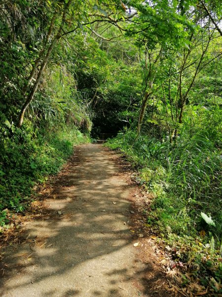 台南白河~台南第一高峰。 關仔嶺大凍山917812