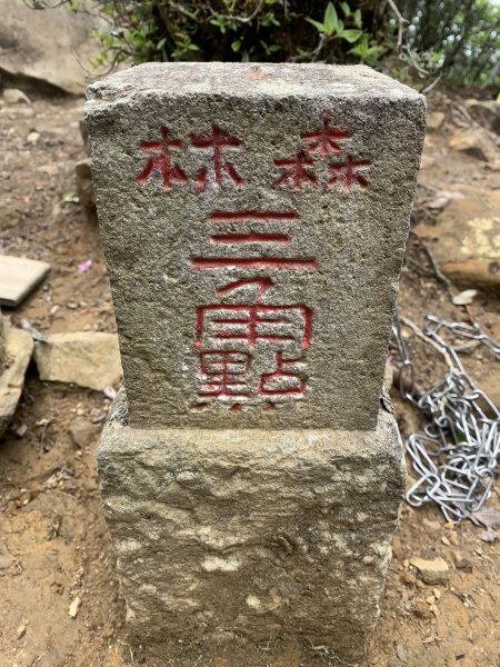 20250517義義兒玉山-東水山2791622