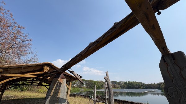 🚴‍♂️ 台南單車慢漫遊3003320