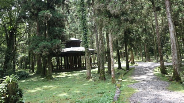 福山植物園登山健行趣(步道)2269347