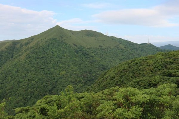 陽明山  菜公坑山 反經石   水車寮步道。林木蓊鬱  豐富的蕨類植披，絕佳避暑古道2174063