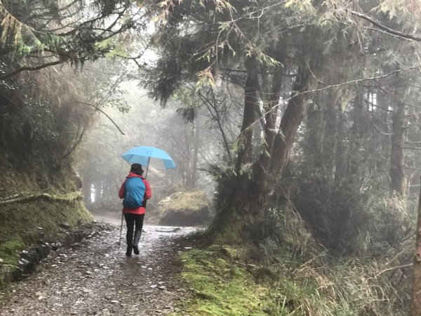 雨霧散遊太平山885861