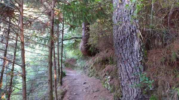 107.05.16雪山東峰一日行333820