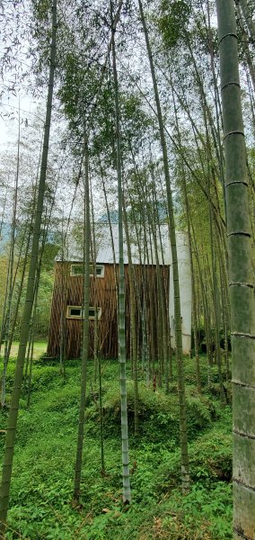 2024-05-19溪頭自然教育園區2508022