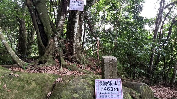 20250531 新竹關西 赤柯山及東獅頭山 O型2801110