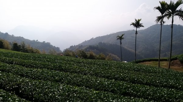 230416-馬鞍山+小百岳#057 梨子腳山+太平山。2160894