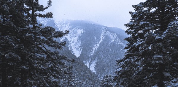 Mt.Jade -玉山冬雪915253