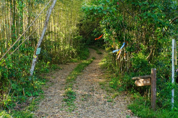 新竹 尖石 大混山、牛欄坑山、李崠山3058553