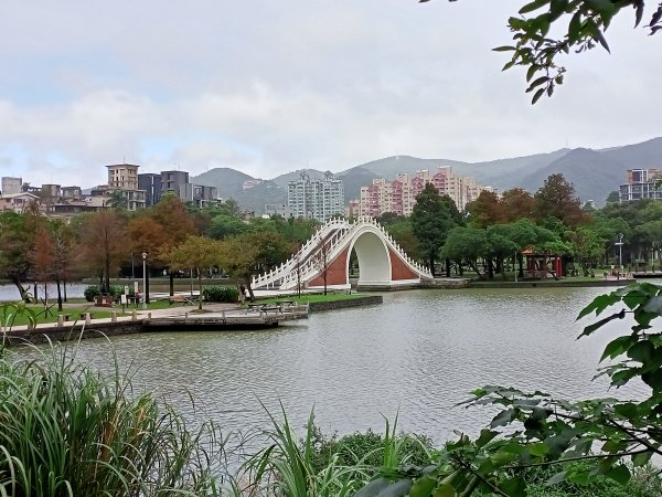 大溝溪生態治水園區、大湖公園 (防災公園) 【走路趣尋寶】1898048