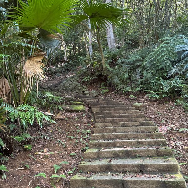 大崙頭山、大崙尾山2922659