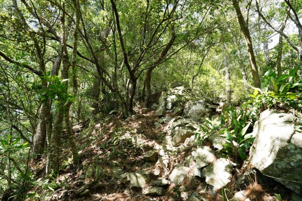 台中 和平 馬崙山2796989