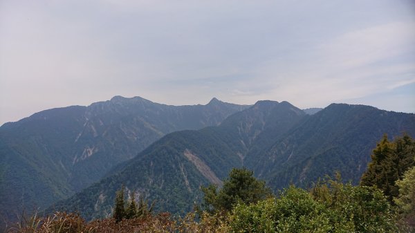 20200418東埔山-東埔大草原1625340