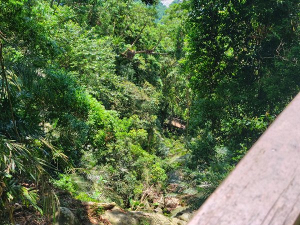 達娜伊谷-里美避難步道-巨石板步道-約富霓2788556