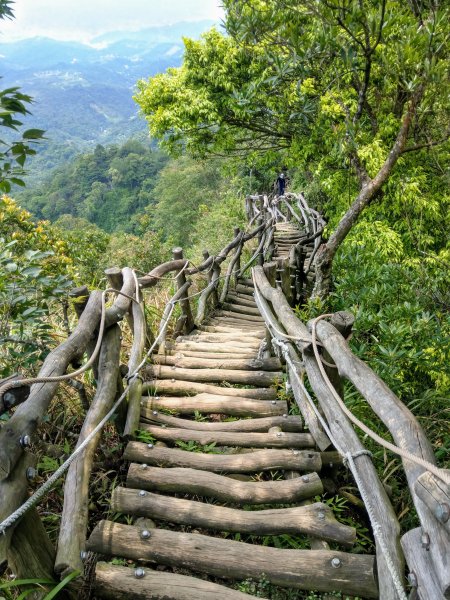頭嵙山(小百岳#41)大坑4,5,1步道1003691
