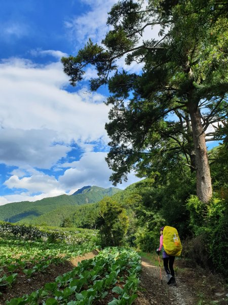 志佳陽大山 賞旭日雲彩 08/15-161072633