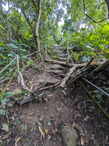 2025-06-14 臺北大縱走第一段來回2814736