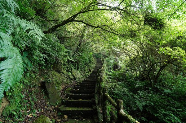 臺北 二格山、南邦寮山、阿柔洋山2570397