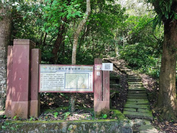 天上山-小百岳#18-新北市土城區2246879