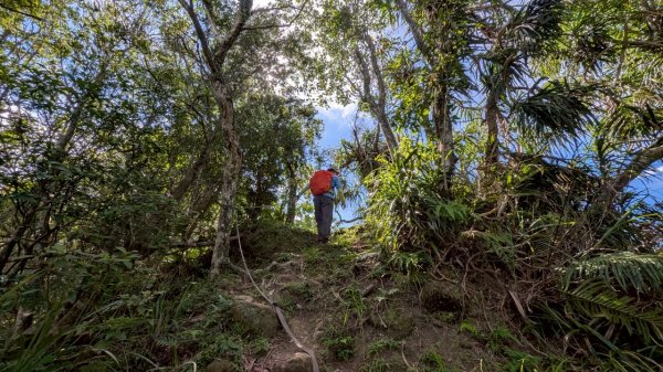114.06.28內平林山-番子坑山-平湖森林遊樂區之O型2824248