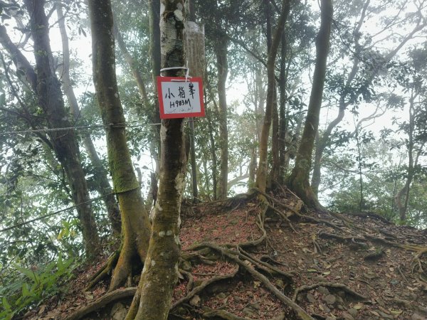 五指山走春3009578