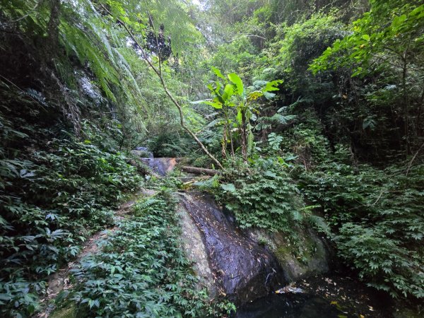 石牛山（小百岳）2909977