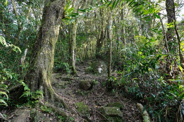 新北 新店 直潭山、二龍山2703909