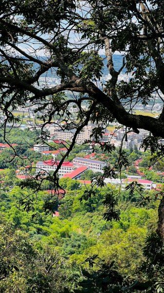 🌈6/22(日) 南投-中興新村-虎山步道✨FB：熊熊趴爬走🌈2818325