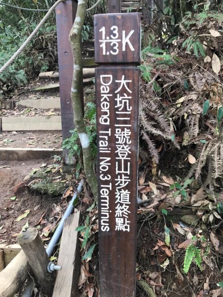 頭嵙山攻頂577443