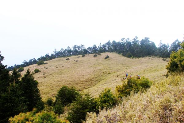 閂山、鈴鳴山 ~ 山巔雲端 , 與美麗山林307016