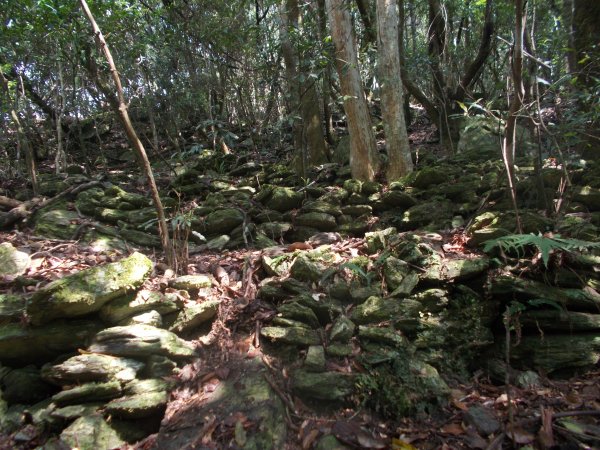 富太山,,俚與邊山,砲台山1293561