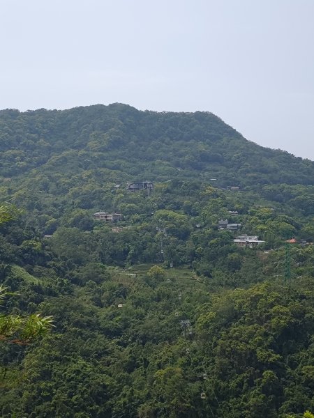 臺北大縱走第七段 世界山莊至飛龍步道政大後山2753462