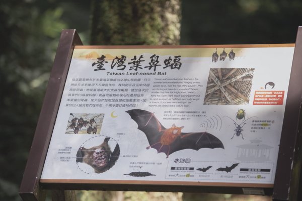 福山植物園-生態天堂1088794