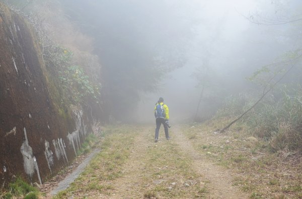 烏石坑山1630209