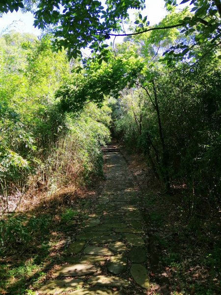 迷人的C型鐵道還有綠油油的稻田~鄭漢步道990692